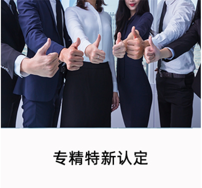 专精特新认定