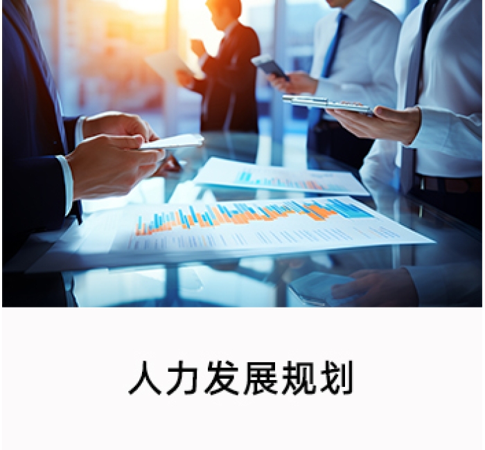 人才发展规划
