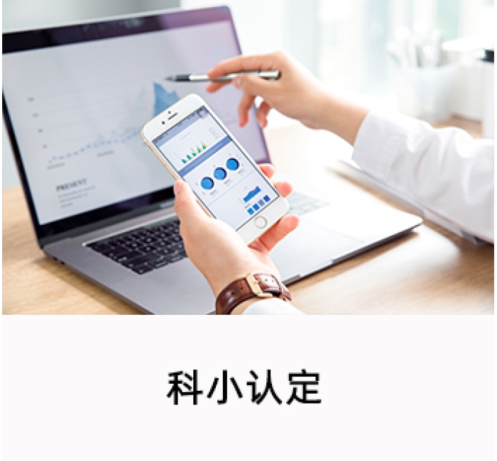 科小认定